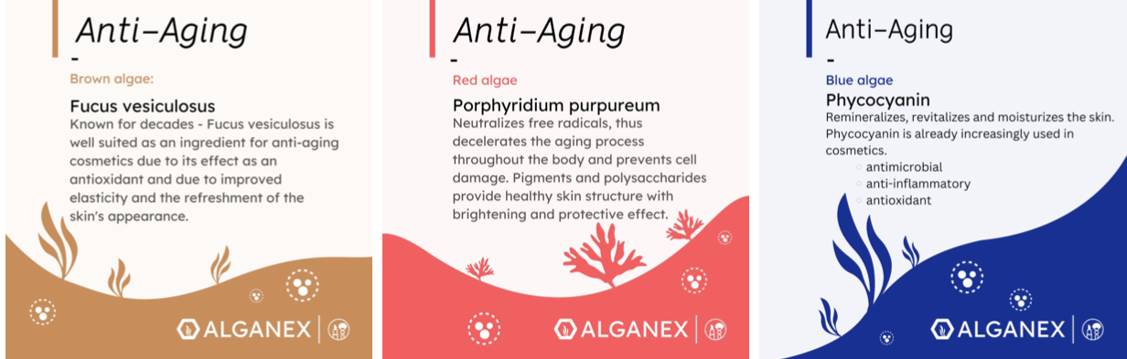 algae - cosmetic allrounder - anti-aging