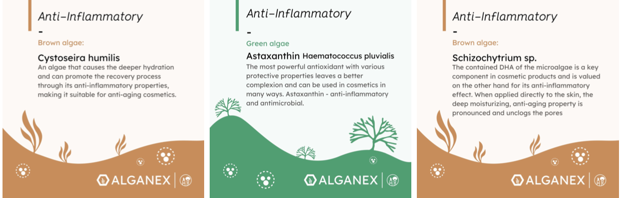 algae - cosmetic allrounder - anti-inflammatory
