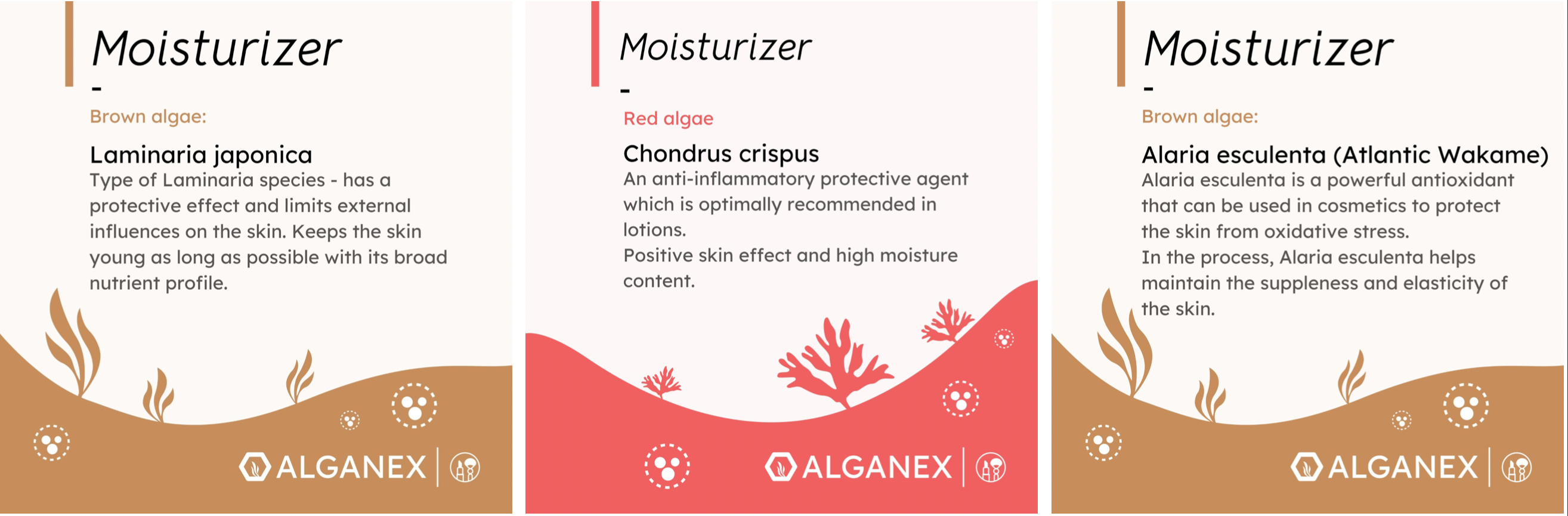 Algen - Kosmetik Allrounder - moisturizer