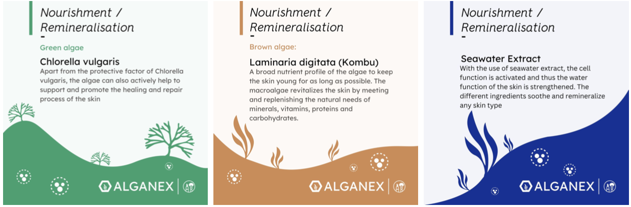 algae - cosmetic allrounder - nourishment / remineralisation