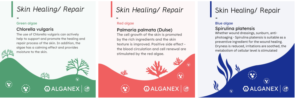algae - cosmetic allrounder - skin-healing