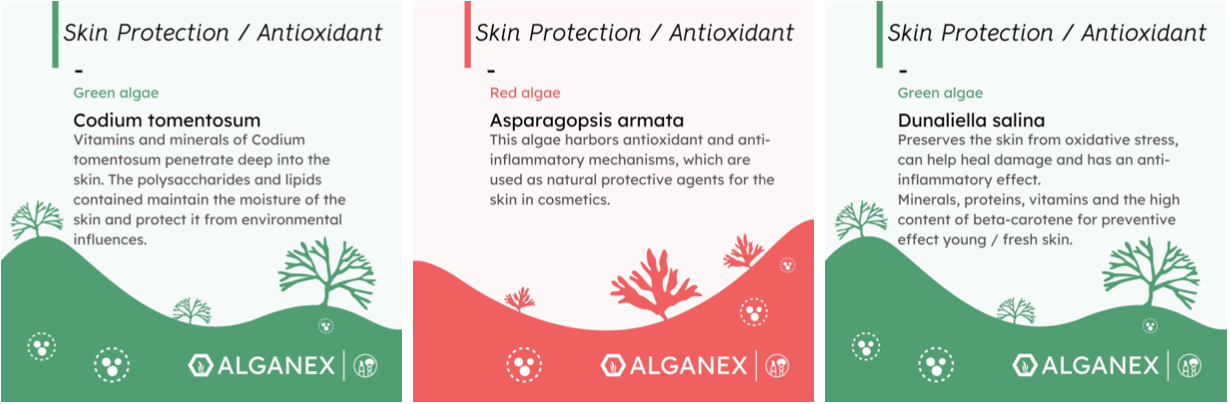 algae - cosmetic allrounder - skin protection / antioxidant