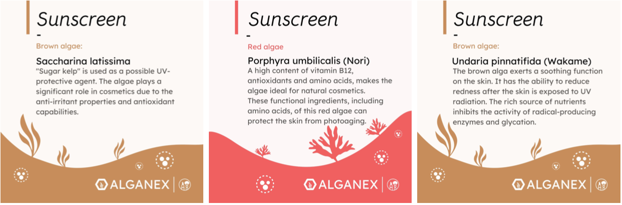 Algen - Kosmetik Allrounder  - sunscreen